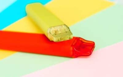 Les meilleurs options des vapes jetables