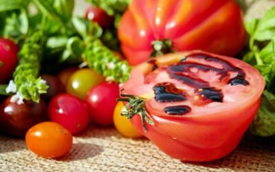 Les bases de la santé intestinale : pourquoi les probiotiques sont essentiels ?