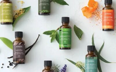 Comprendre et Choisir Votre Fournisseur d’huiles essentielles