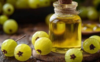 Huile d&rsquo;amla : le secret naturel pour des cheveux en pleine santé