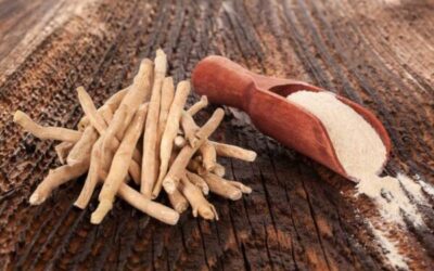 Ashwagandha : une racine millénaire au service du bien-être