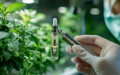 Comment choisir le meilleur liquide pour cigarette électronique d&rsquo;origine végétale
