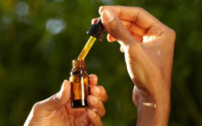 Quelle huile CBD choisir selon votre profil et vos objectifs ?