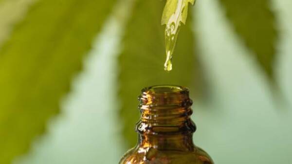 comment choisir huile de CBD