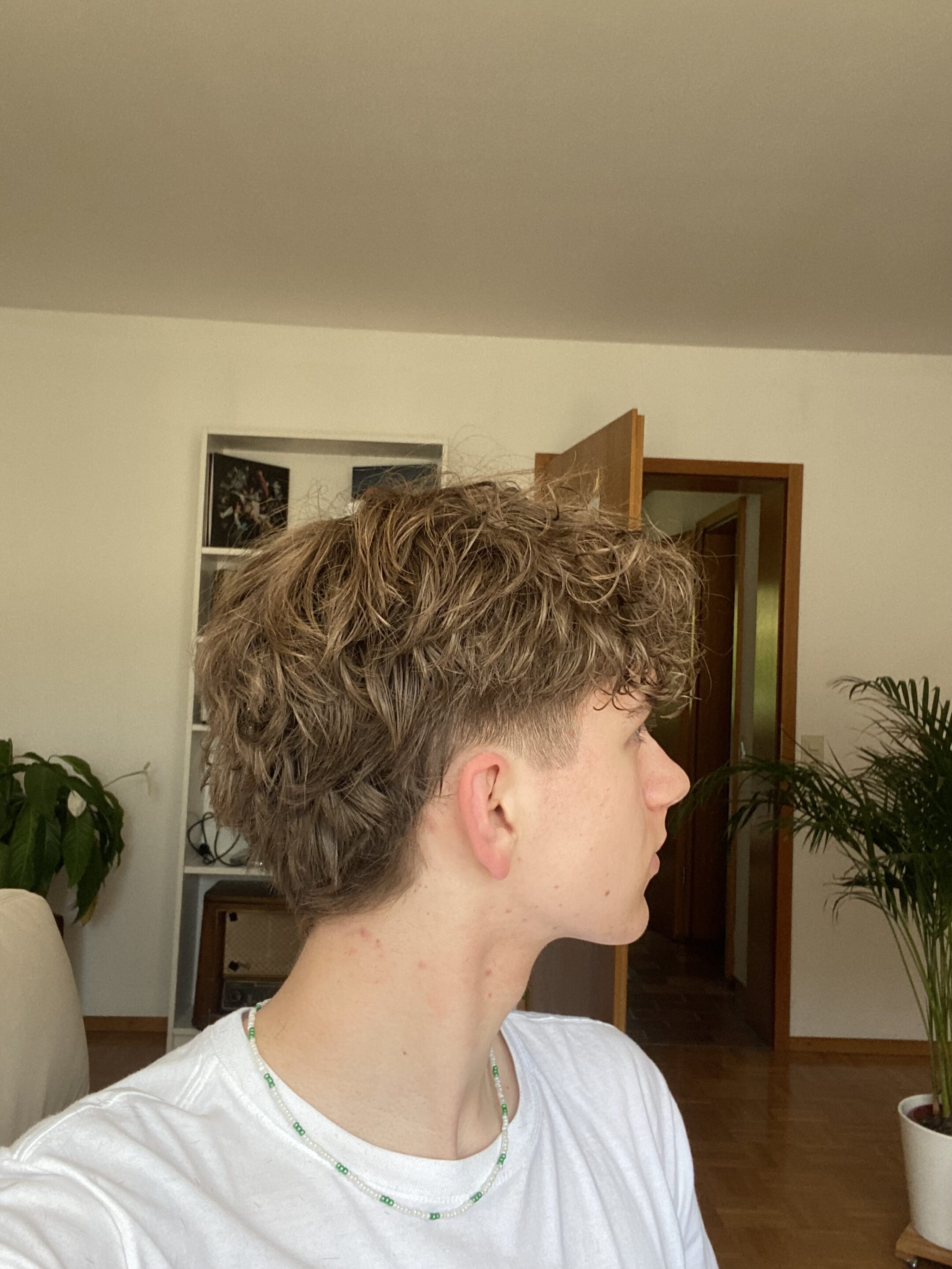 Look moderne coupe mulet
