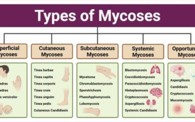 Combien de temps dure une mycose sans traitement ?