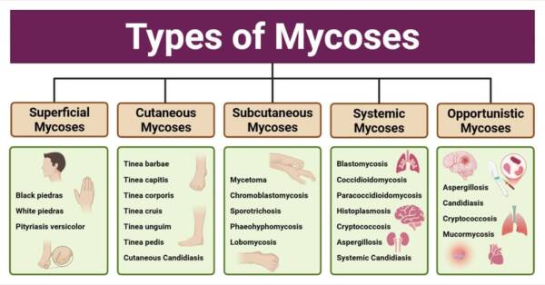 types de mycoses